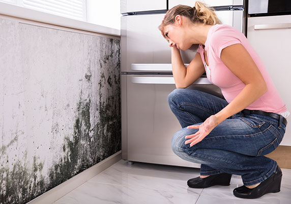 Frequently Asked Questions About Mold Removal and Prevention